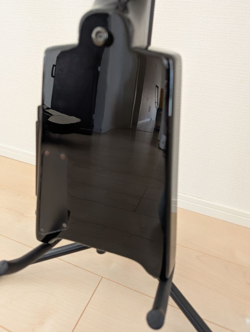 ギター Steinberger Spirit GT-PRO Deluxe(Black)