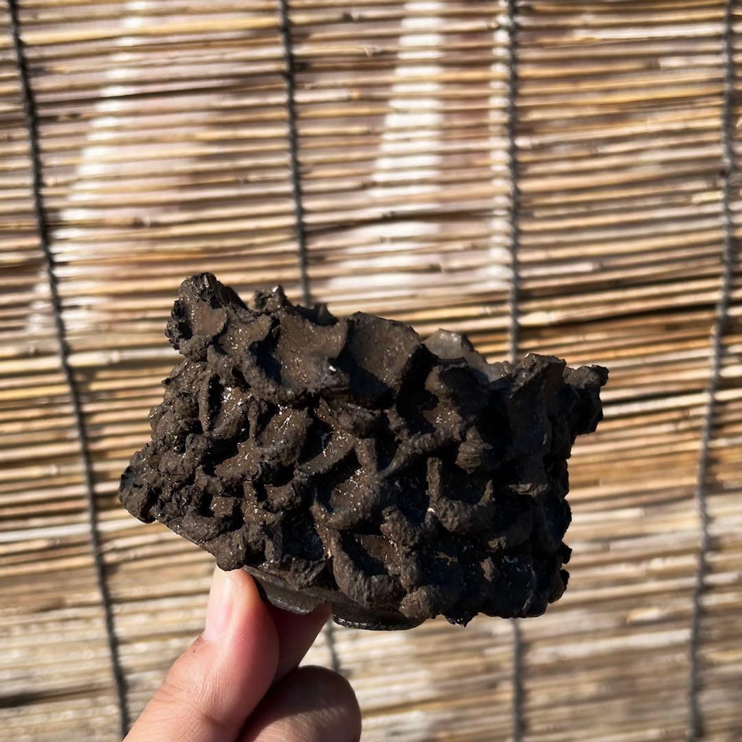 y鉢　福田修平　作家鉢　植木鉢