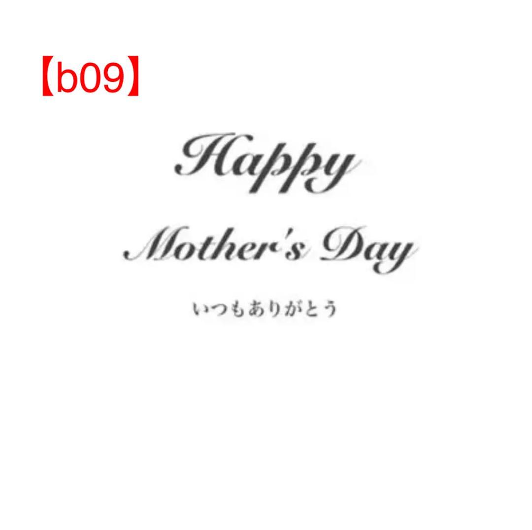 【b09】母の日☆命名書☆フラワーフォトフレーム☆プリザーブドフラワー☆