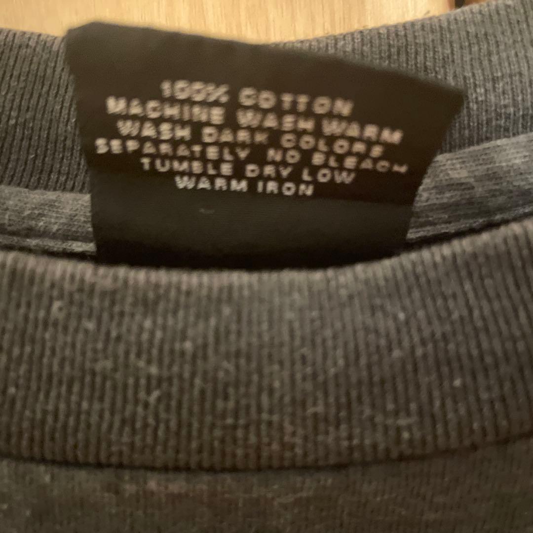 Harley-Davidson タイガー×フレイム L ロンT