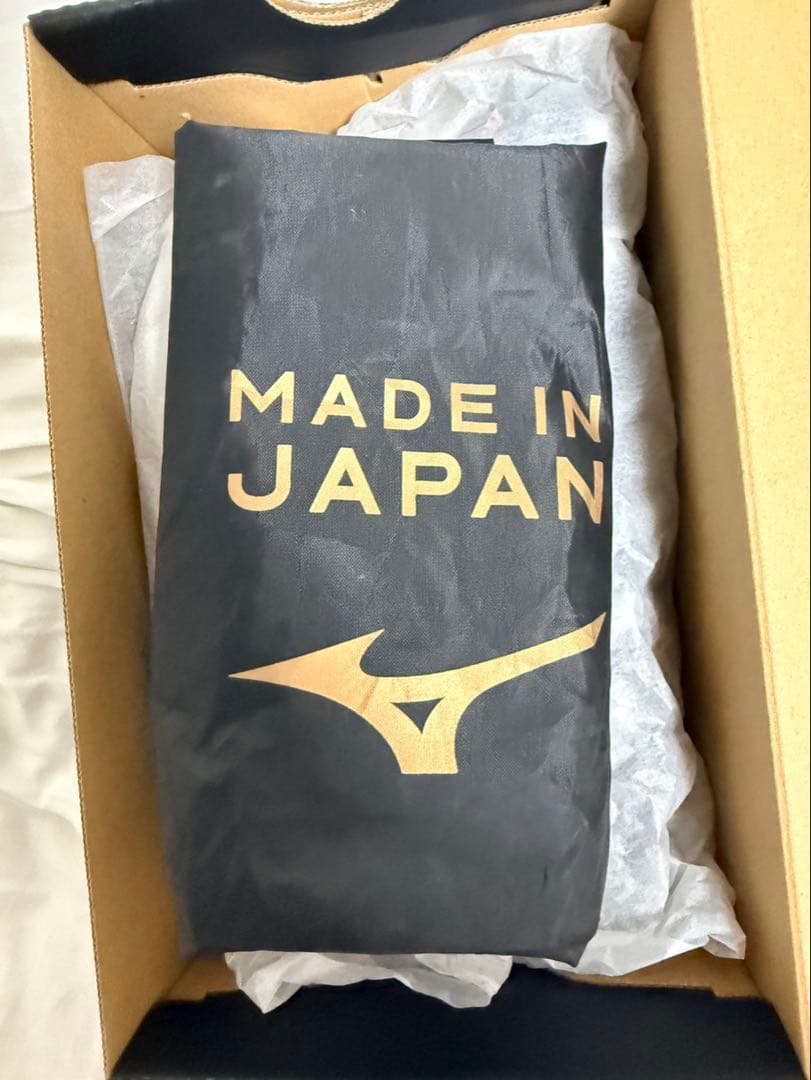 モレリアネオ4β