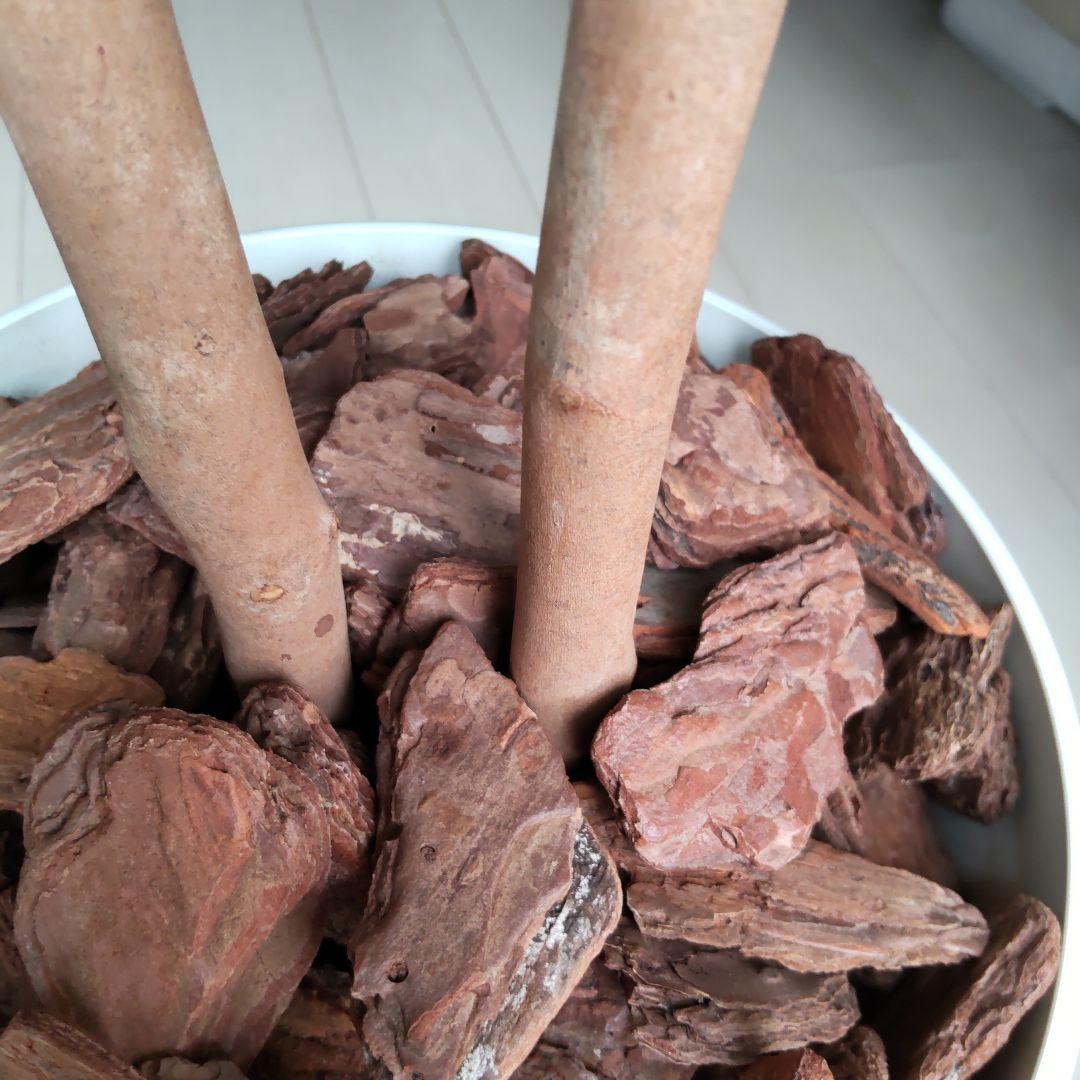 ユーカリの木130cm タイプ！銀丸葉 ！ 大型フェイクプランツ！ 未使用！