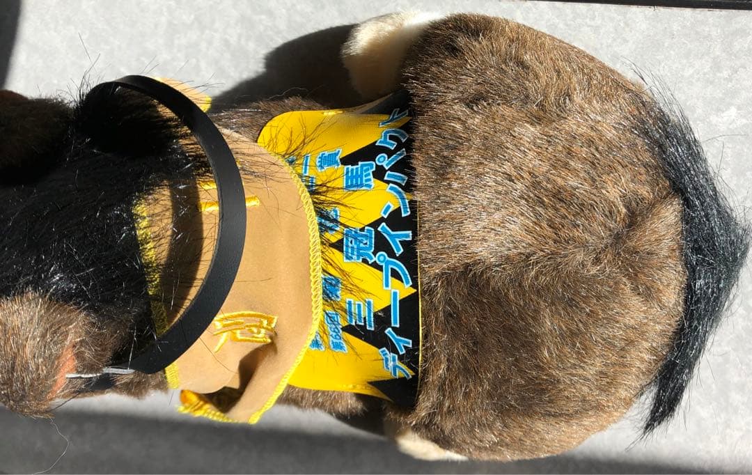 ディープインパクト3冠記念セット(馬券など)