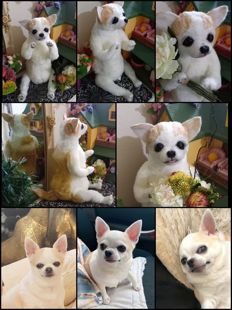 オーダー受付中♥️  チワワ　犬　ペットロス　実物大　ぬいぐるみ　カズコオガワ