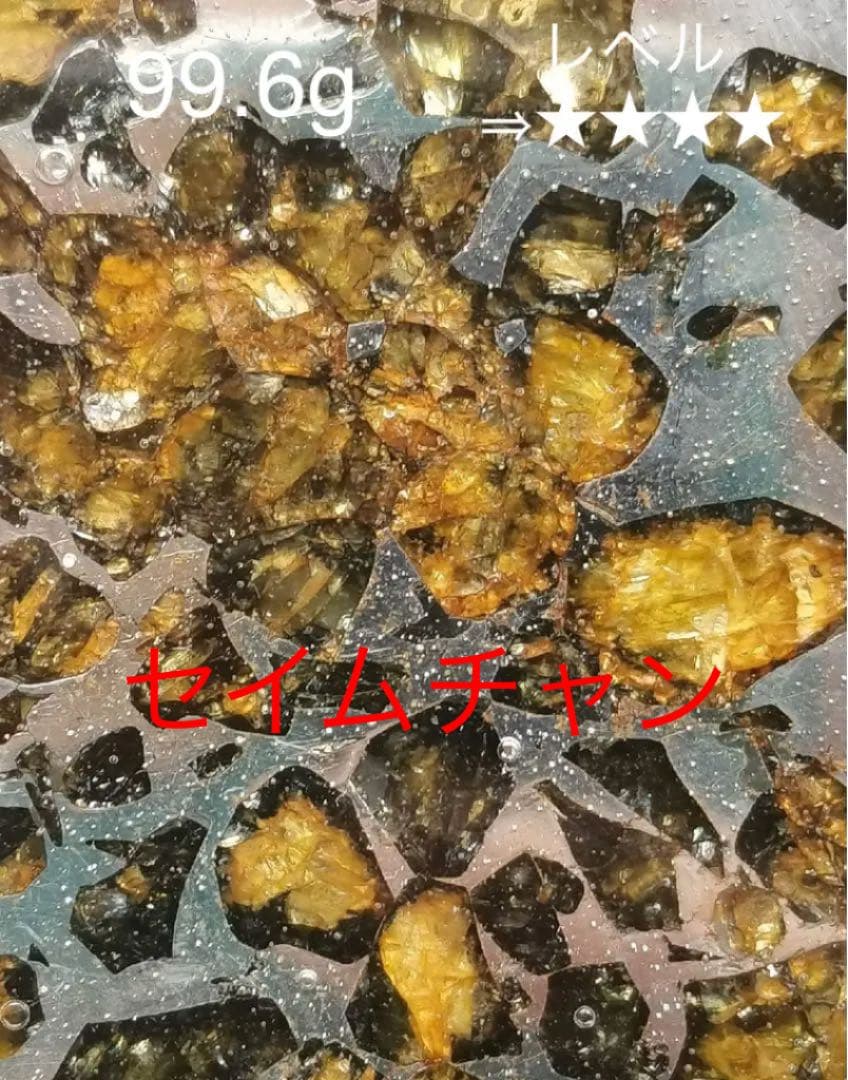 セイムチャン隕石　パラサイト隕石  激安　99.6g ロシア産