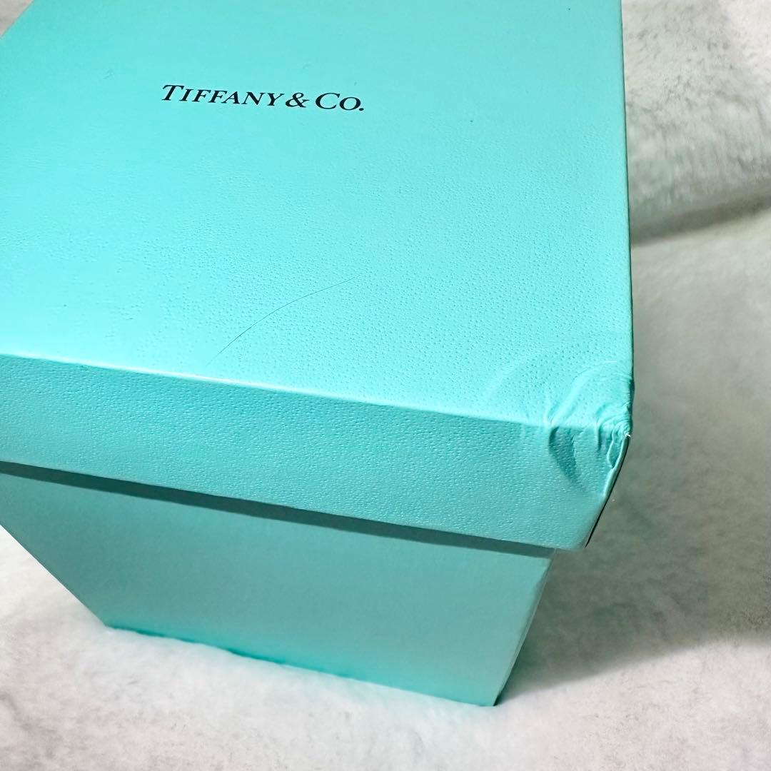 【新品・非売品】希少　ティファニー メリーゴーランド オルゴール　スノードーム