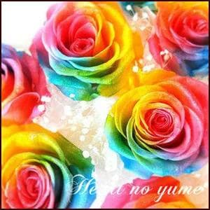 【高級プリザーブドフラワー】 レインボーローズの花束 ３０本セット