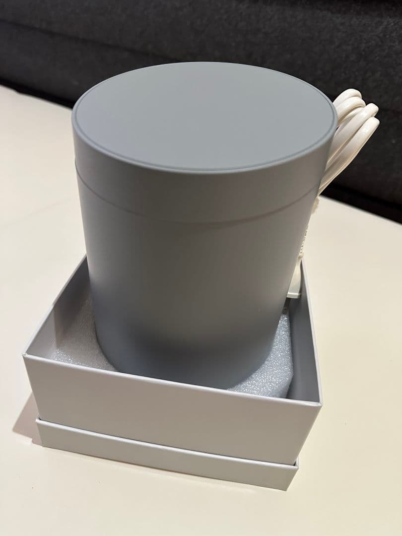 SALONIA ピュアブライトスチーマー グレー