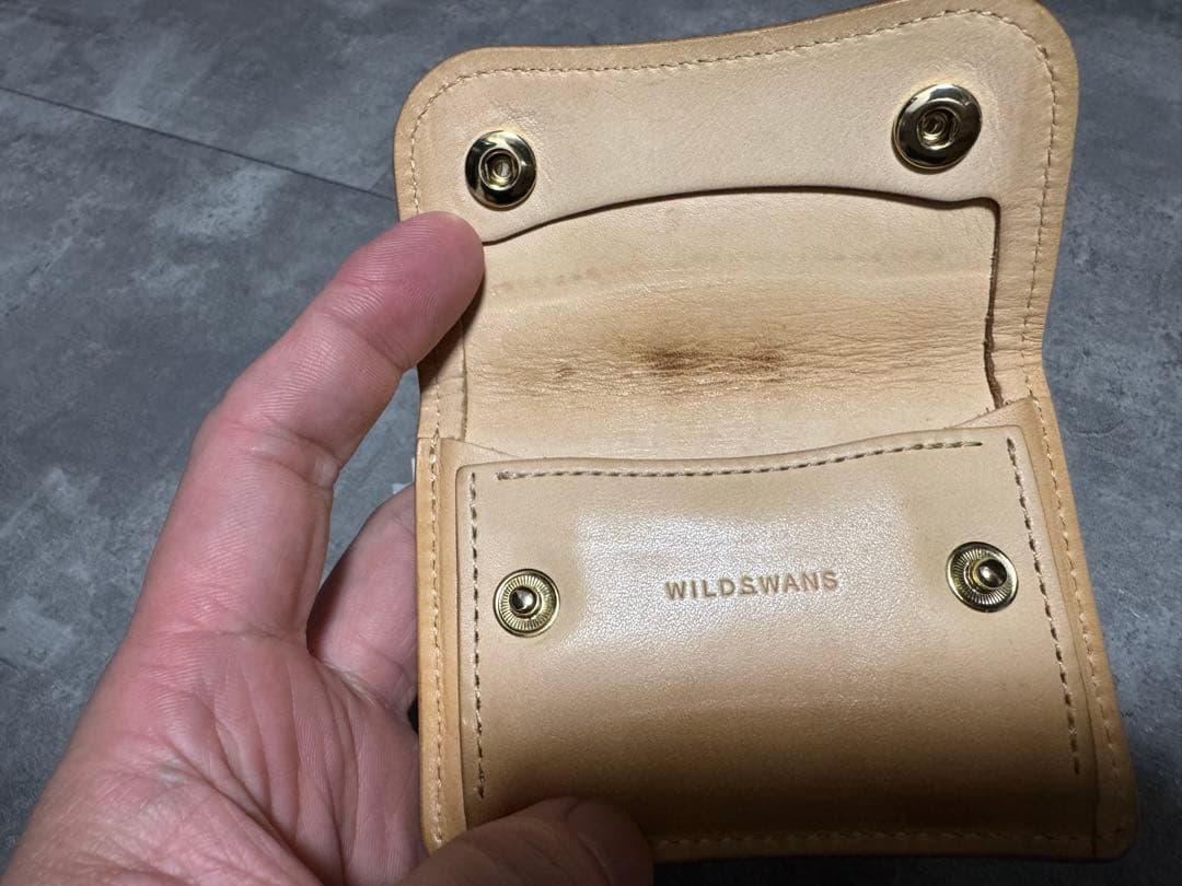 画竜点睛 　WILDSWANS TONGUE