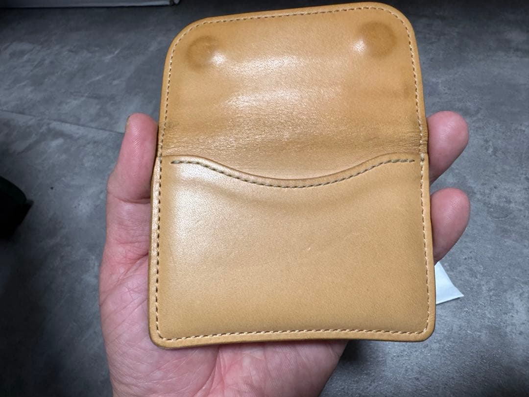 画竜点睛 　WILDSWANS TONGUE