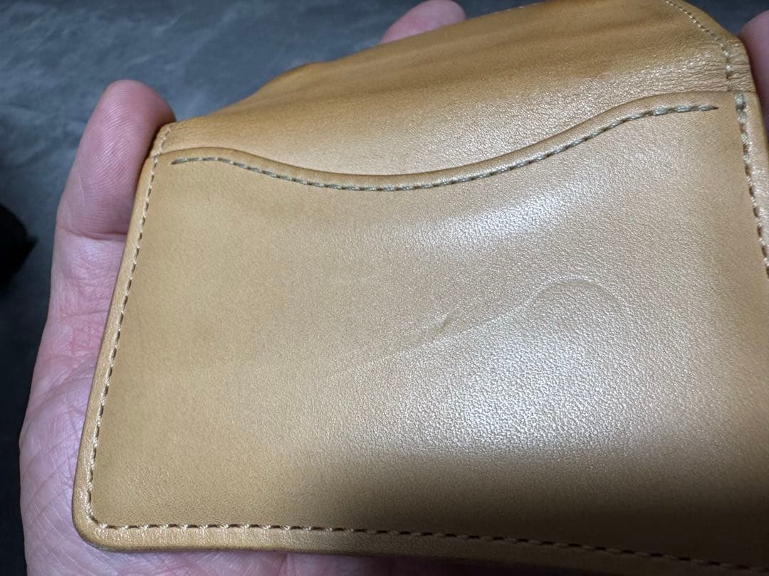 画竜点睛 　WILDSWANS TONGUE