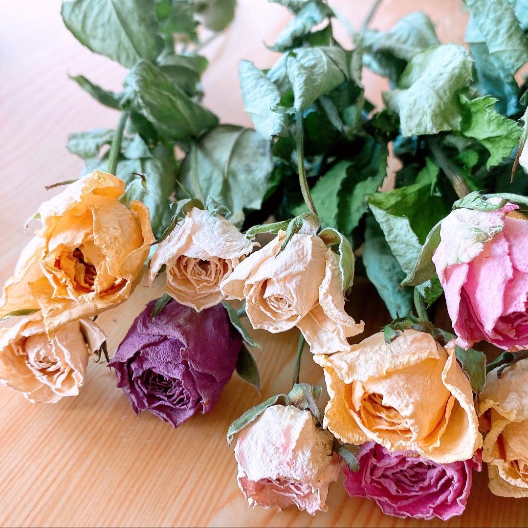 スタンダードバラ❇️ミックスカラー❣️ドライフラワー