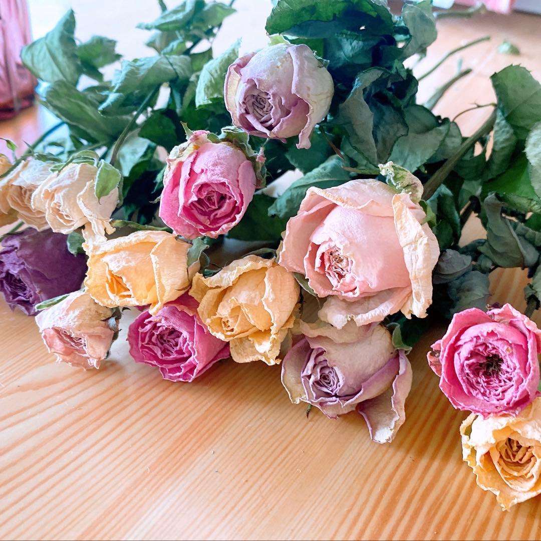 スタンダードバラ❇️ミックスカラー❣️ドライフラワー