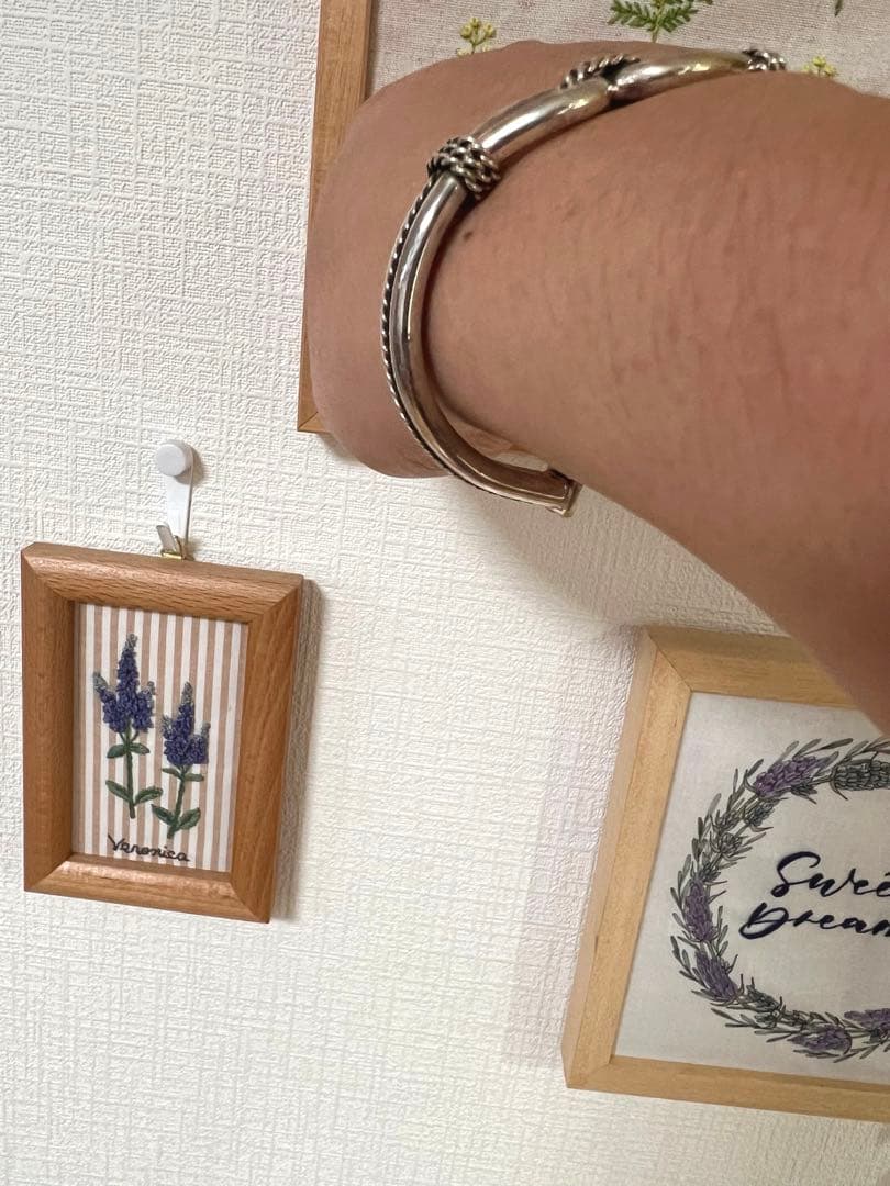 未使用品！4mm幅　スティーブアルビソ　ホースウィスパラー　バングル