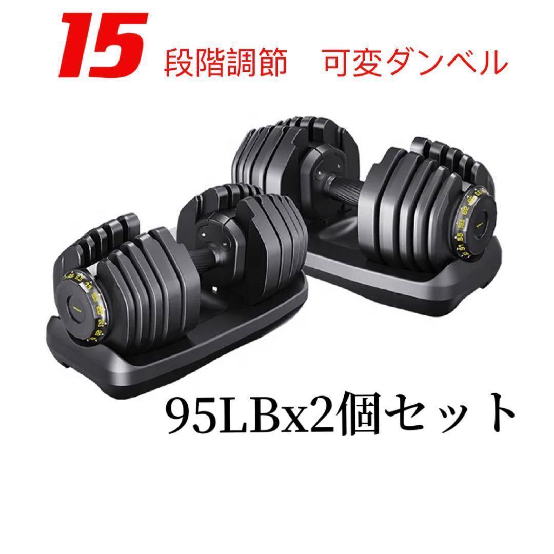 調整式ダンベル95LBx2セット可変式ダンベル15段階調節