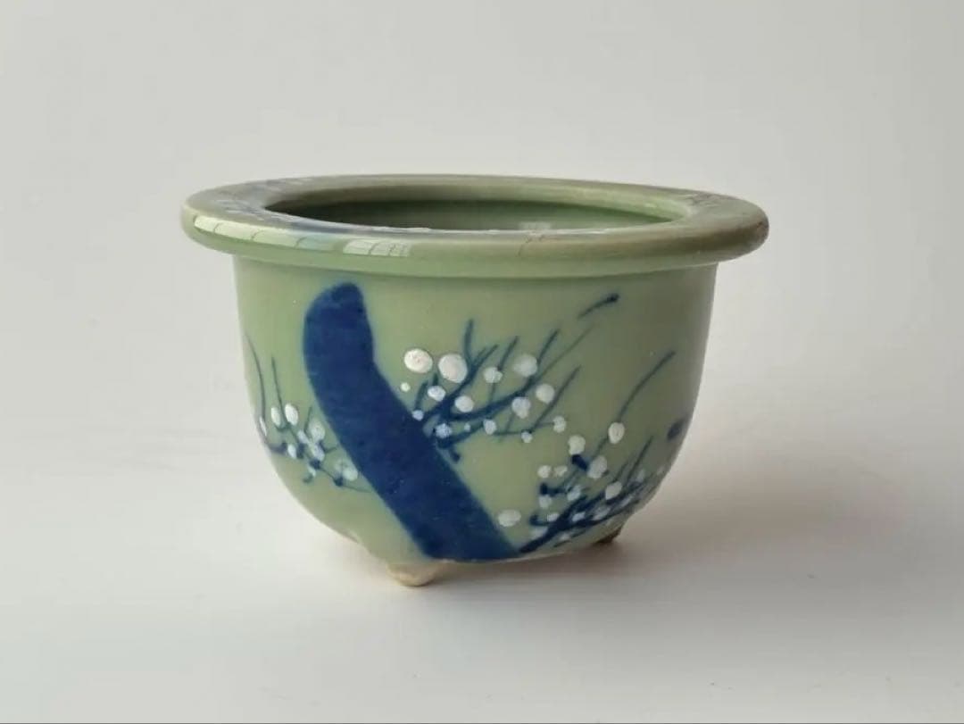 戦前 統制番号 未使用 瀬戸焼 古瀬戸 尾張焼 青磁 染付 植木鉢 盆栽鉢 梅図