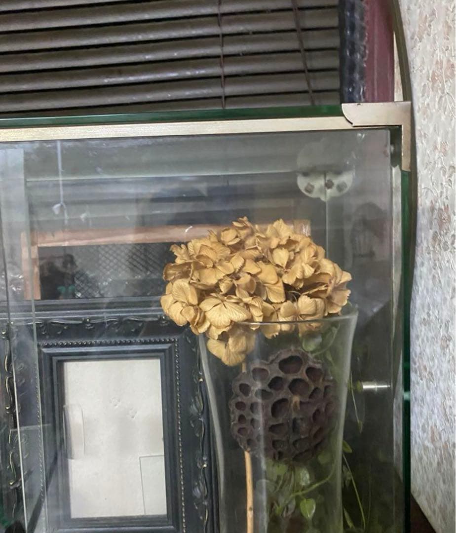 ガラス棚　アンティークガラスショーケース　昭和　レトロ