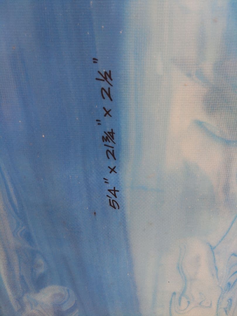 ソフトボード　ボトム面はハード 5'4\" ノーブランド