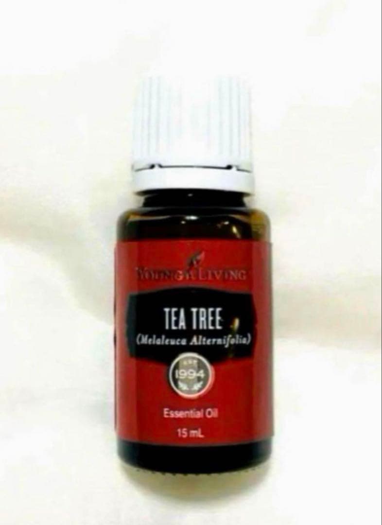 新品 ヤングリヴィング☆ピューリフィケーション15ml ティートゥリー15ml