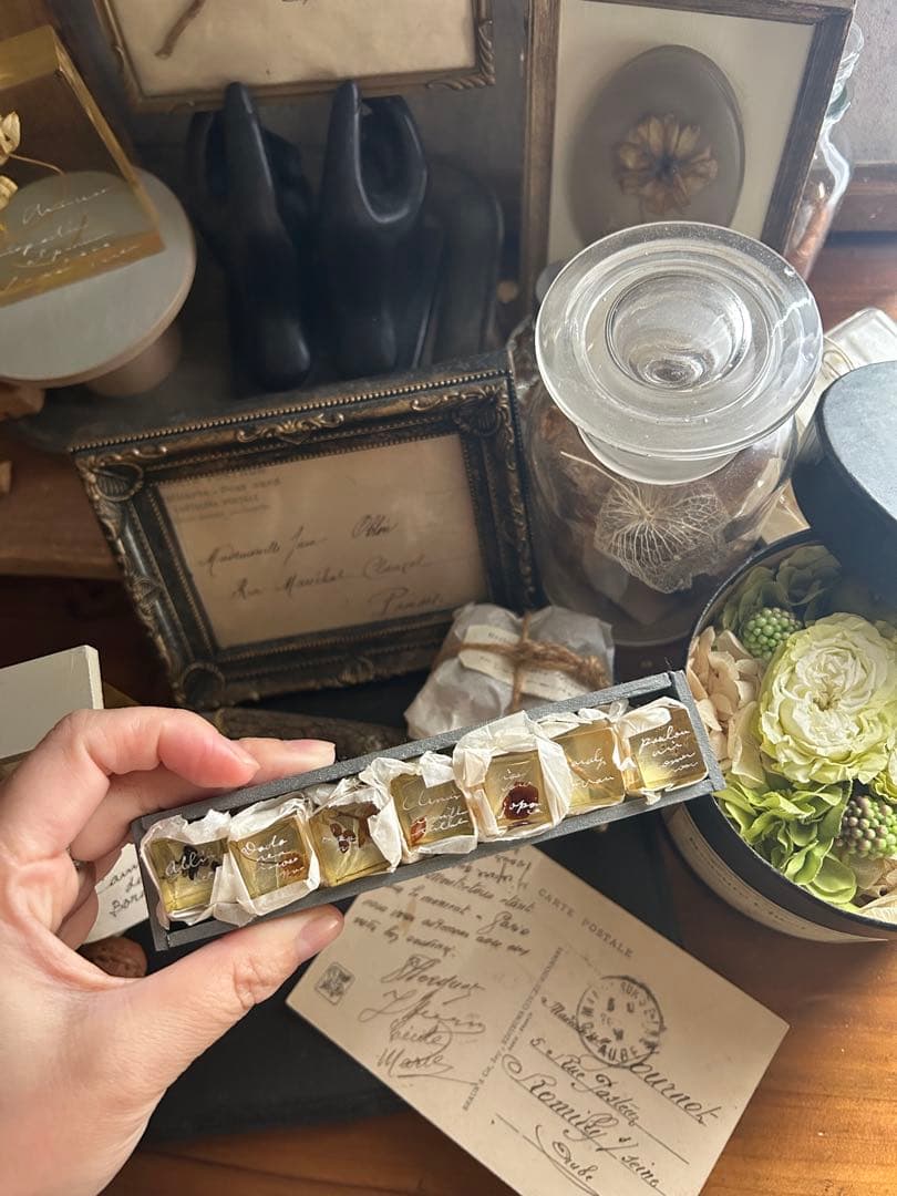 errer 樹脂標本 7種 植物標本 木箱入り 古道具 アンティーク