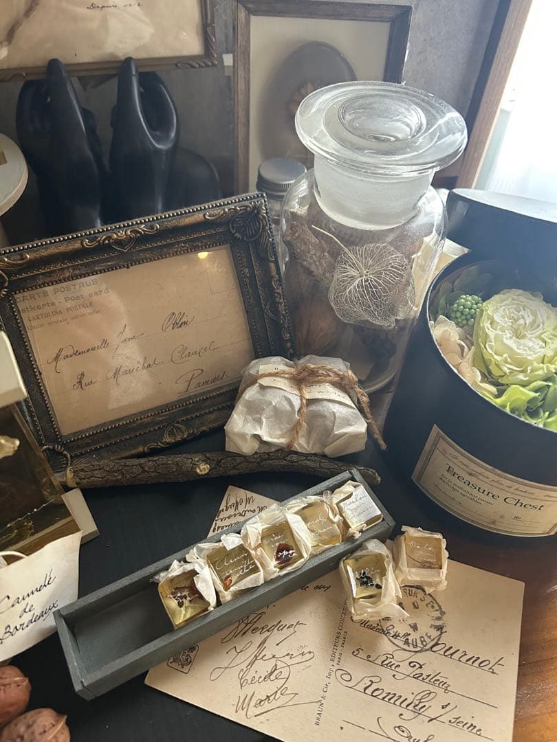 errer 樹脂標本 7種 植物標本 木箱入り 古道具 アンティーク