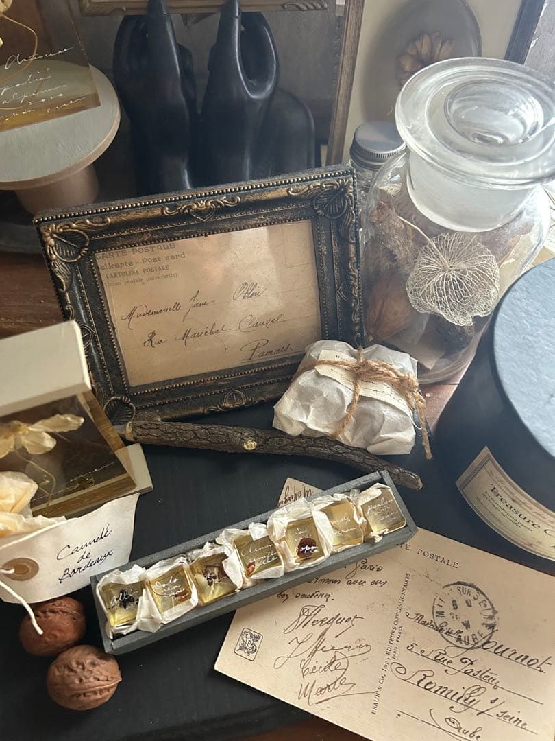 errer 樹脂標本 7種 植物標本 木箱入り 古道具 アンティーク