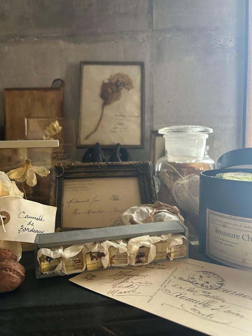 errer 樹脂標本 7種 植物標本 木箱入り 古道具 アンティーク