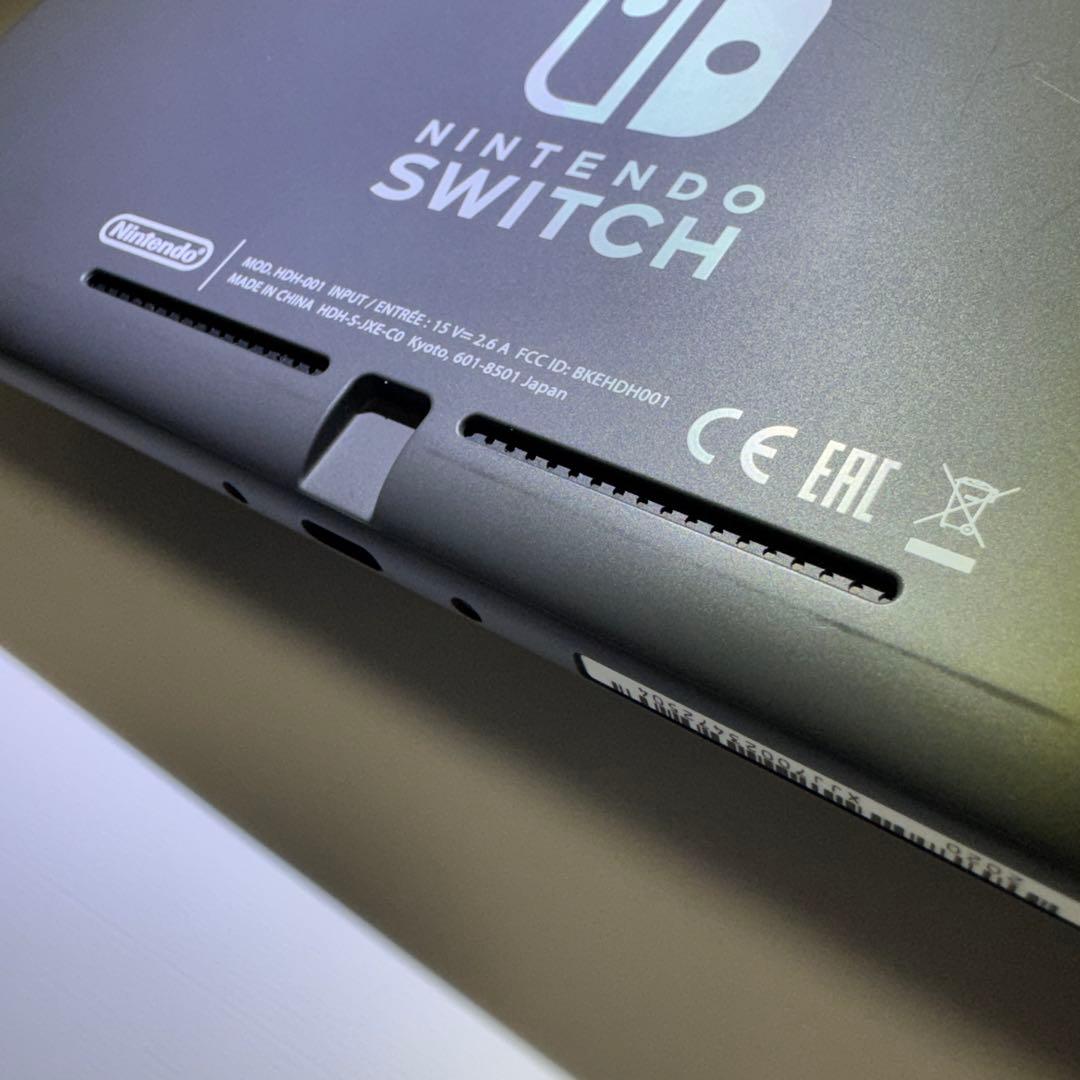 Nintendo Switch Lite グレー 本体＆保護ケース(ブラック)