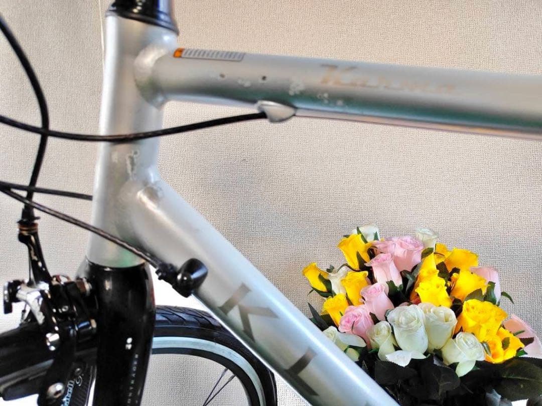 スポーツバイク アルミニウムフレーム ホワイト/シルバー