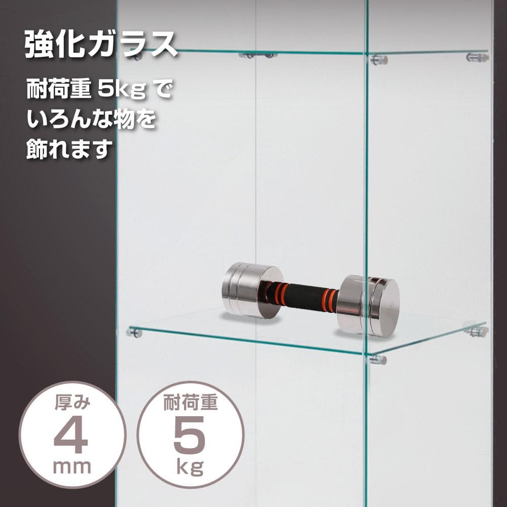 【新品】コレクションケース  ガラス 2段ワイド 棚 ホワイト