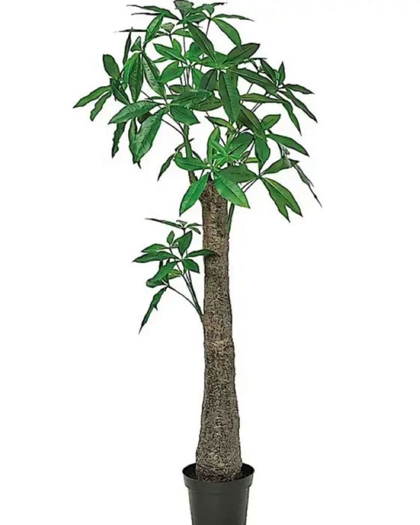 光触媒　人工観葉植物　ウォールグリーン　フェイクグリーン　太パキラ150