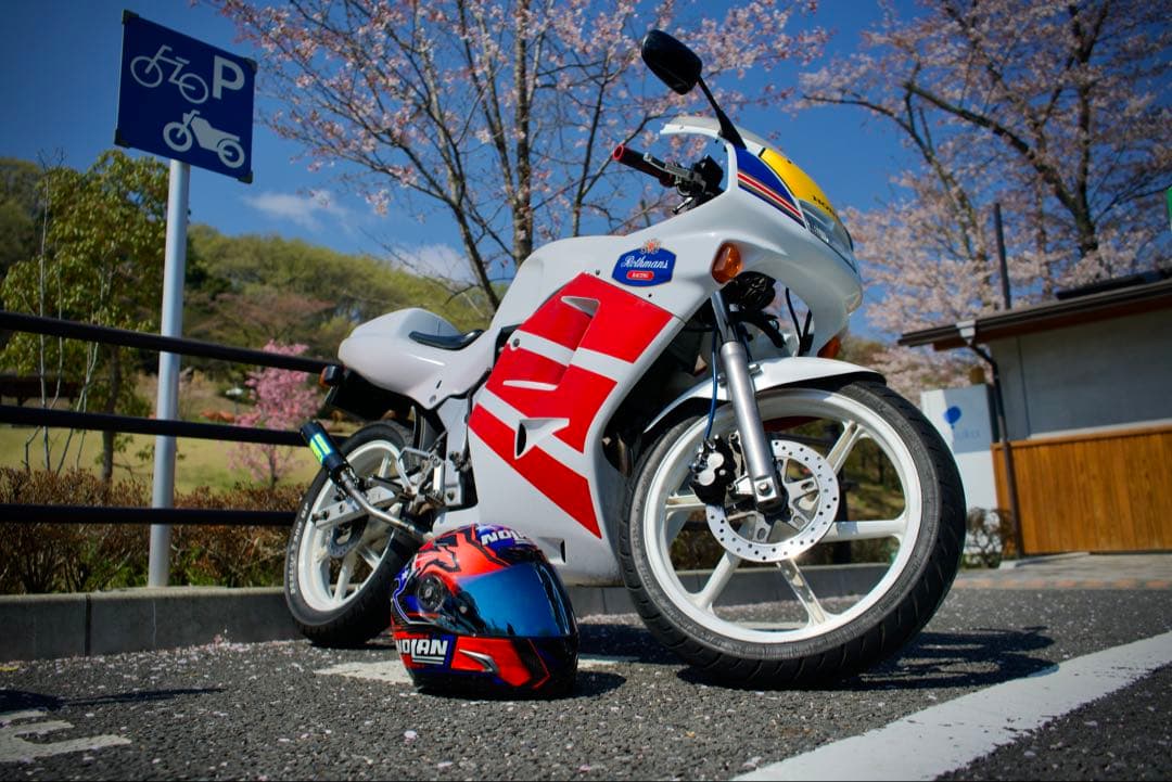 ホンダ　NS1 カウル(左と右)