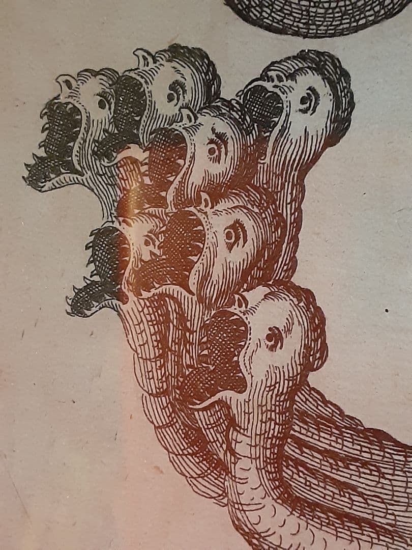 ヨンストンヒュドラ銅板画