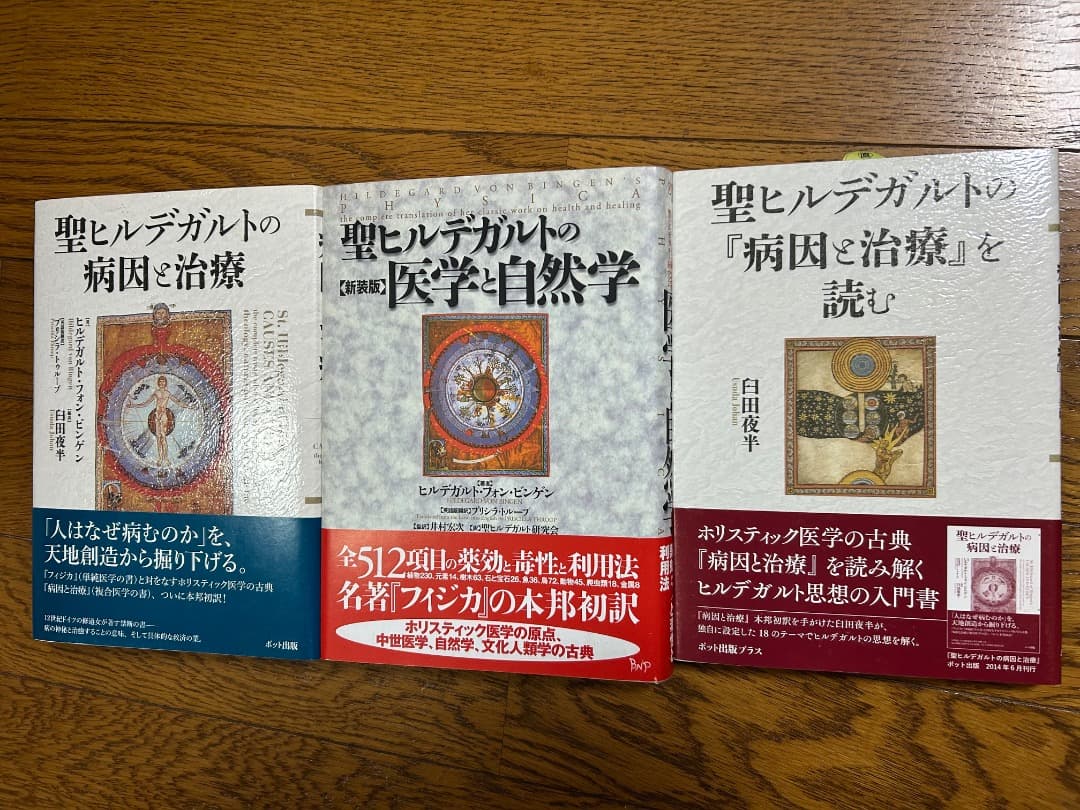 聖ヒルデガルトの医学と自然学、病因と治療