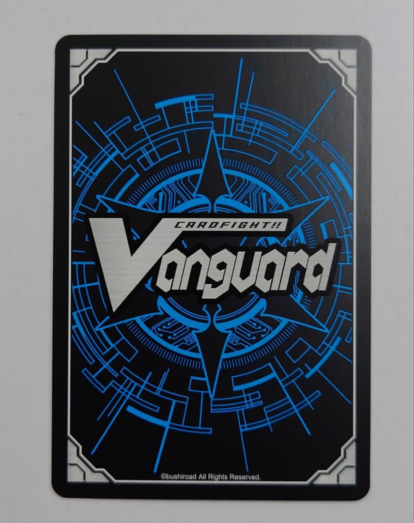 匿名配送//天輪鳳竜 ニルヴァーナ・ジーヴァ DSR