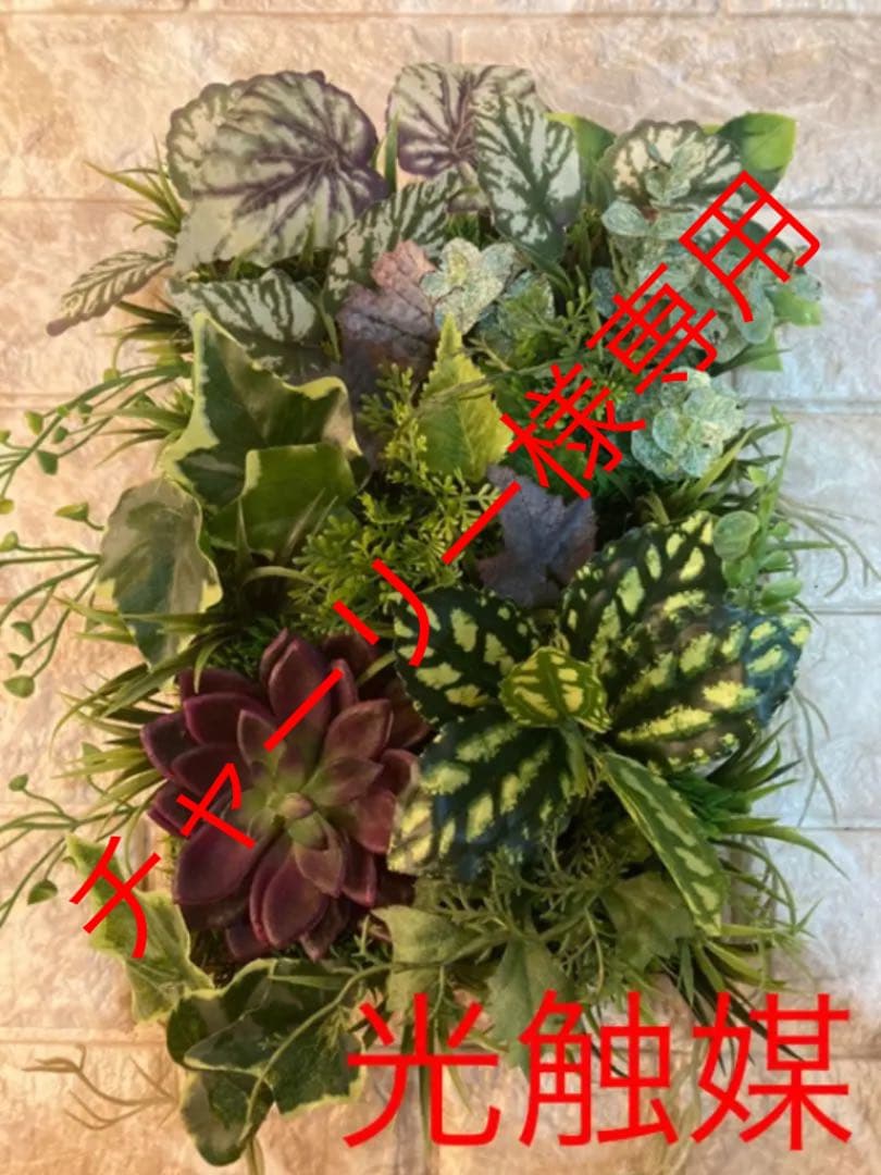 光触媒　人工観葉植物　抗菌消臭　ウォールグリーン   チャーリー