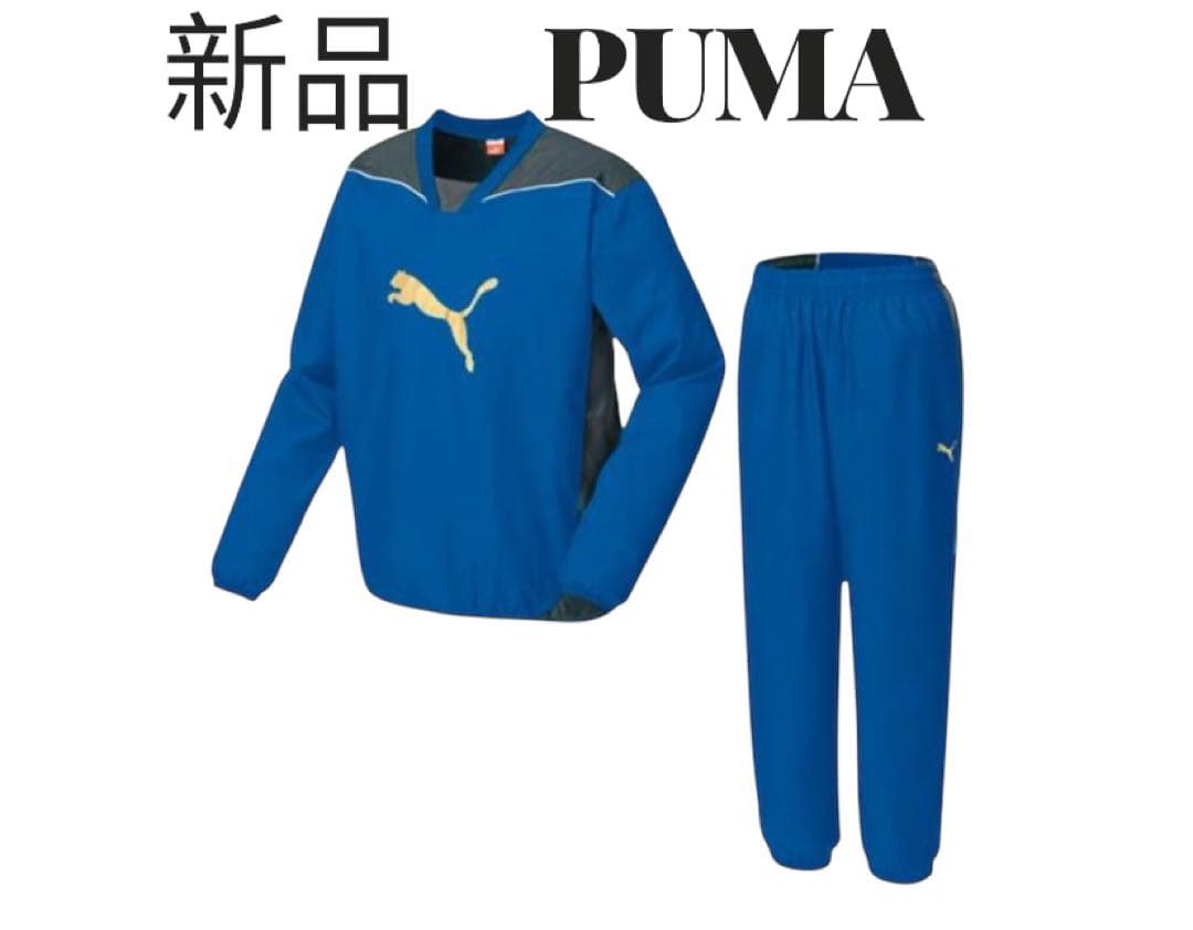 新品　PUMA プーマ　ピステ　セットアップ　上下　完売品　青　ブルー　未使用