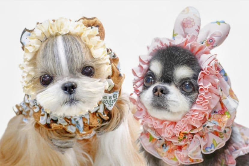 XSワンピース3点+スヌード2点の5点セット　サーカスサーカスCIRCUSCIR