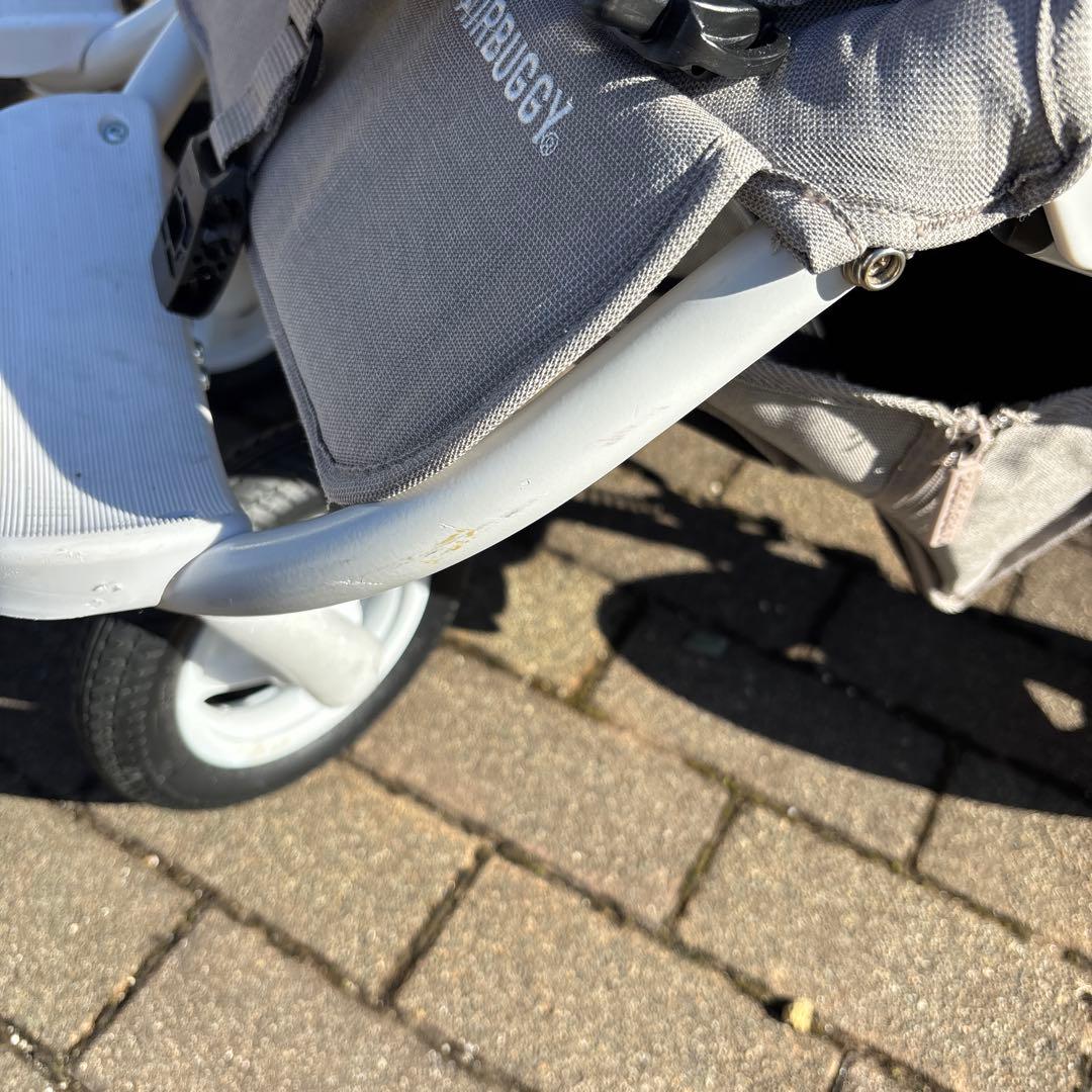 エアバギー　双子