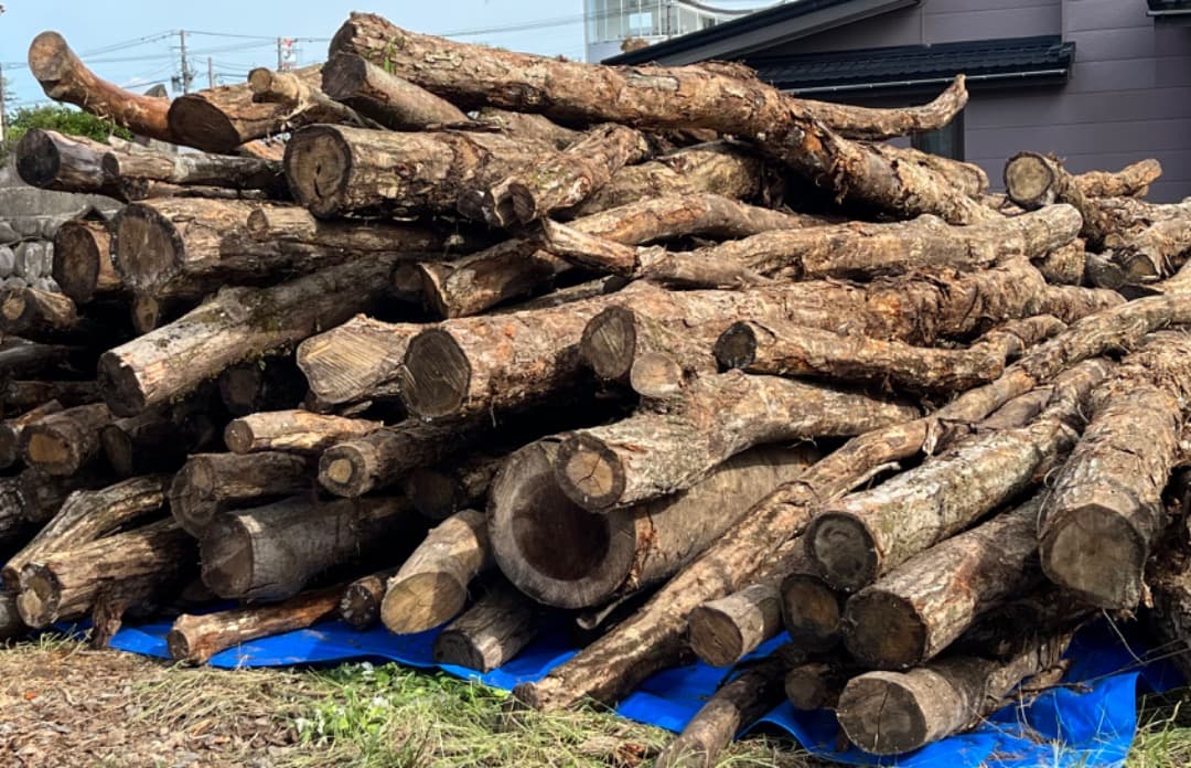 ⭐️楢の薪　乾燥済40cm　1m3分（軽トラ１台分）⭐️
