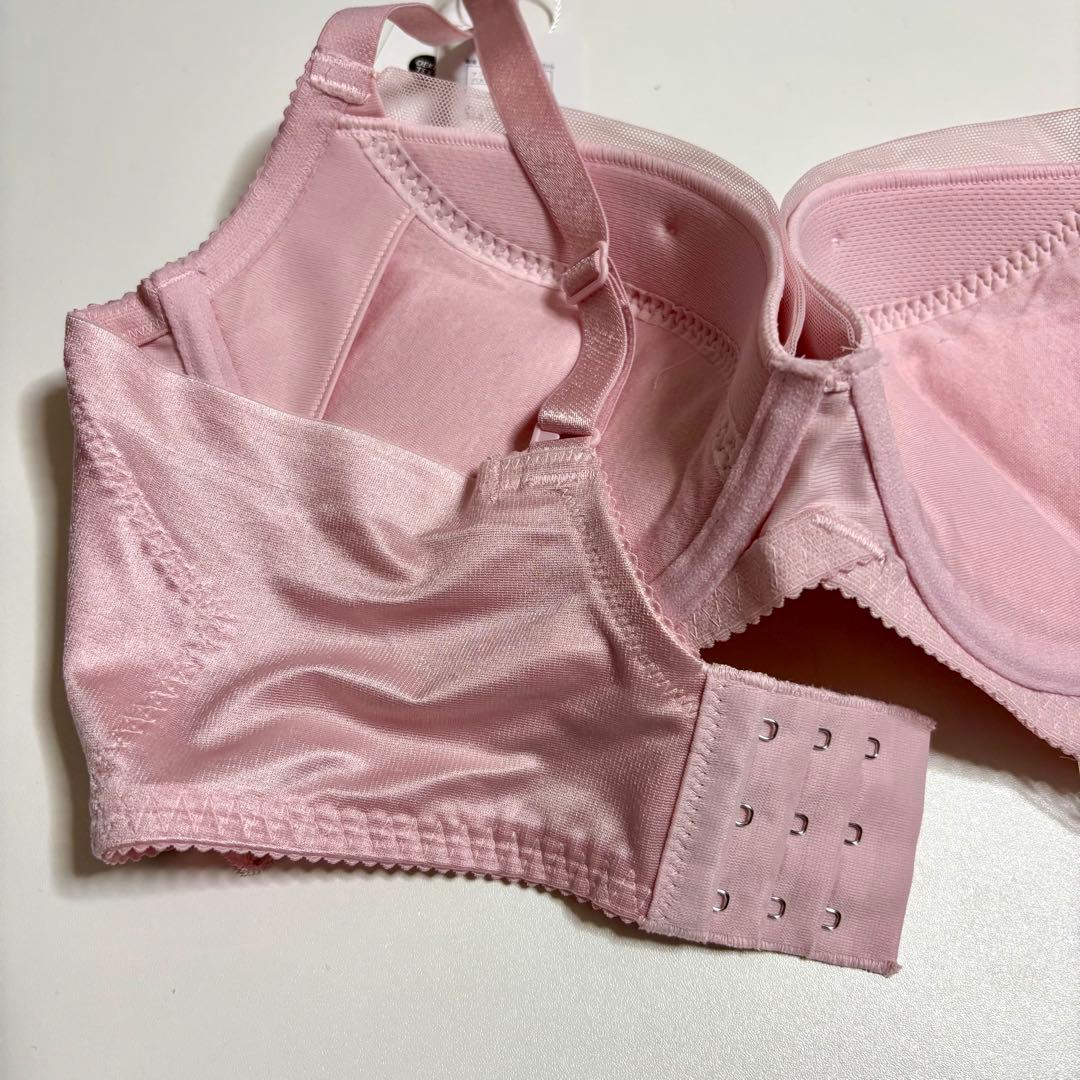 D80L トリンプ プレミアム 寄せアゲハ 花と油絵 ブラ＆ショーツ M019