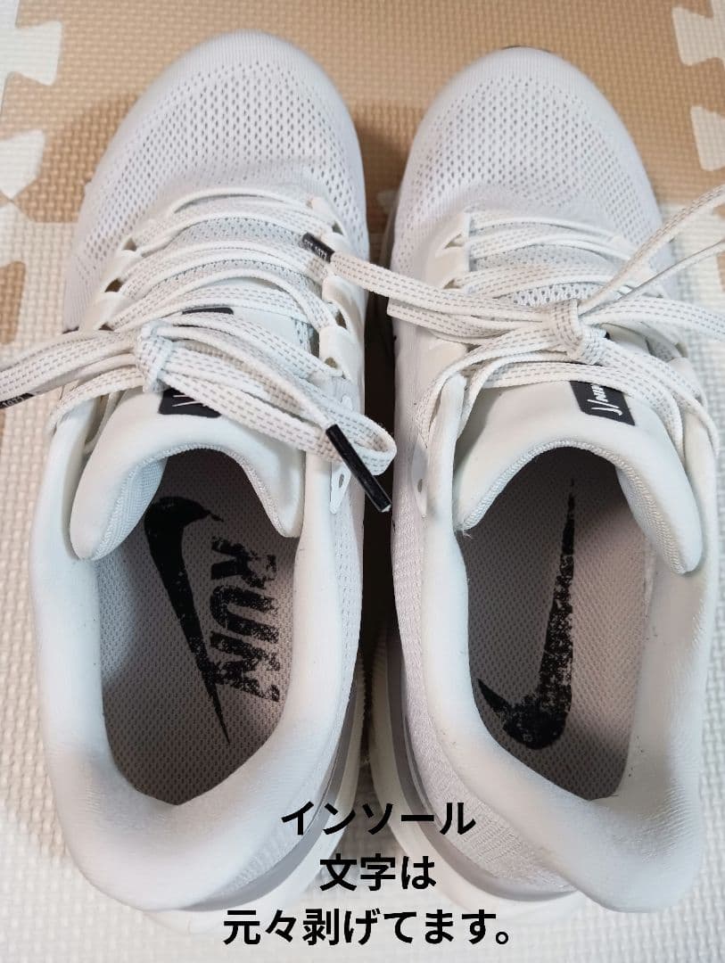 【26.5cm】ナイキ エアズーム ペガサス41　アルペン限定カラー　完売