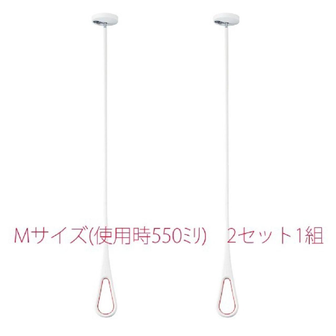 NASTA ナスタ KS-NRP020-MM-WR エアフープ 天井取付タイプ