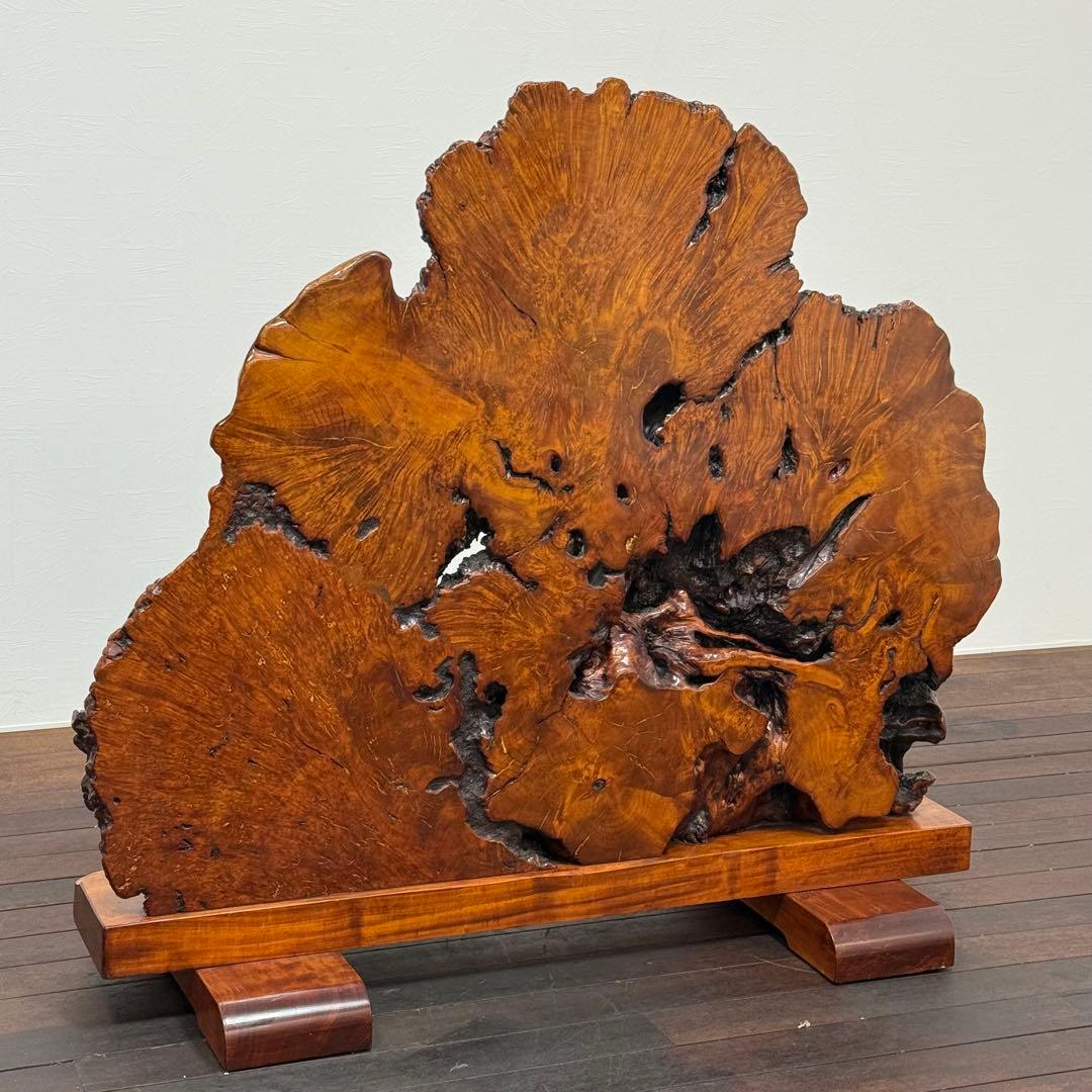 H21K45 巨大 天然木 瘤 衝立 コブ 木製オブジェ