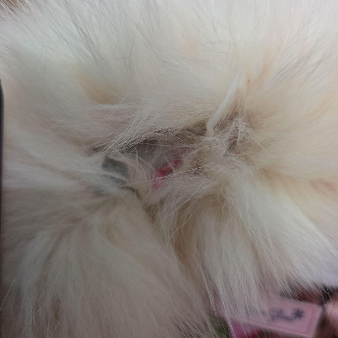 【希少】MARS マーズ ヒョウ薔薇コート　平成ギャル Y2K