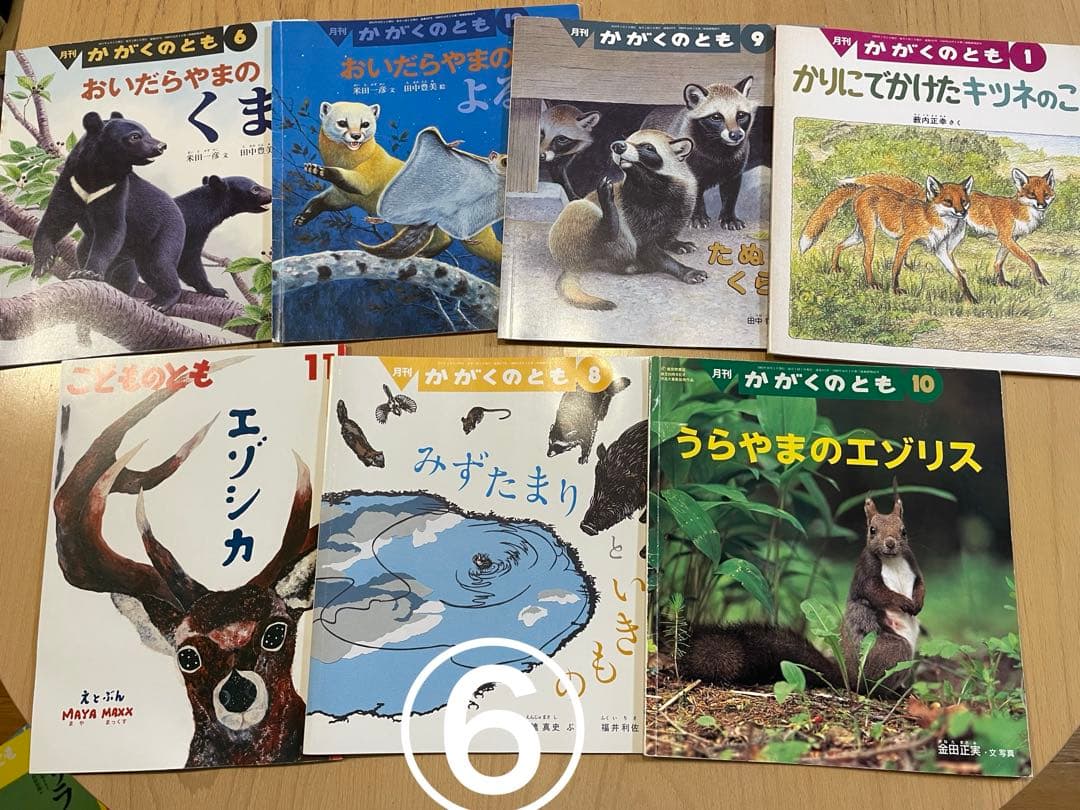 Ibyさま専用　冬休みに♪ かがくのとも　いきもの絵本セット