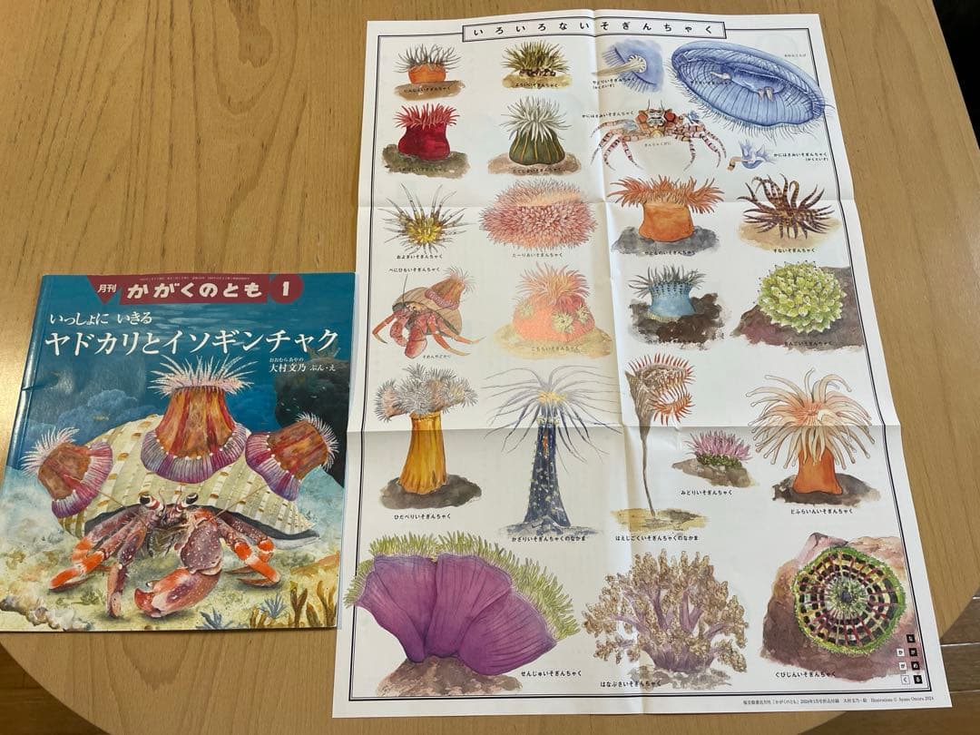 Ibyさま専用　冬休みに♪ かがくのとも　いきもの絵本セット