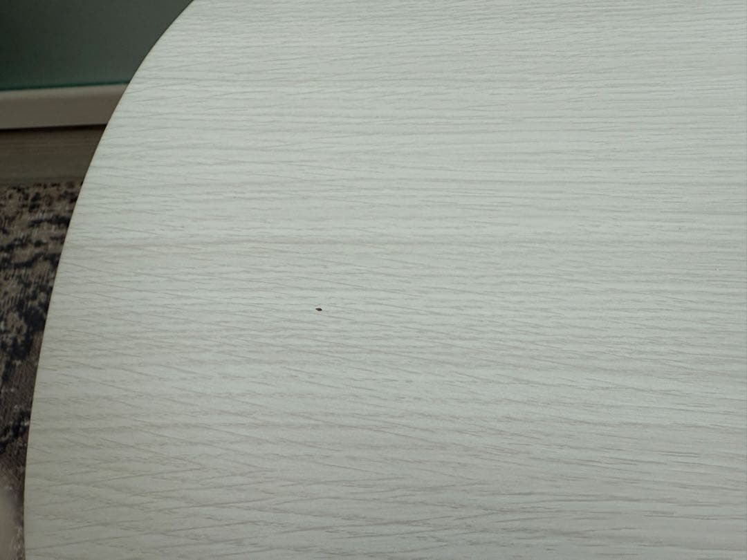 送料込み折脚楕円形カジュアルこたつ カルミナ950 ホワイト