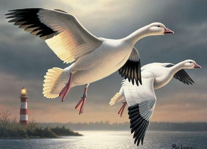 ロン・ロック 大型 ヴィンテージステンドグラス グラスマスターズフェデラルダック