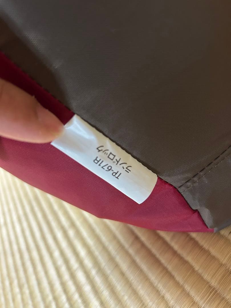 【未使用品】スノーピーク ランドロック TP-671R